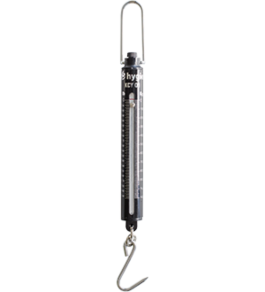 [BA-KCY0-1000-000] PESON-BALANCE SUSPENDUE